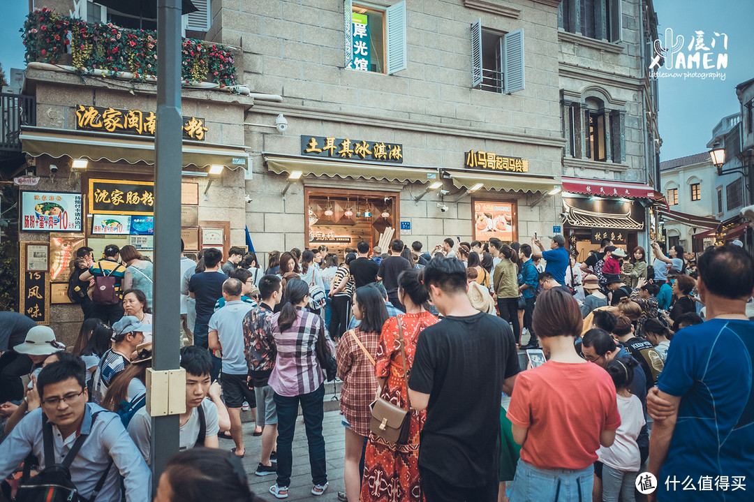 很多人来过厦门，却错过了仙人掌