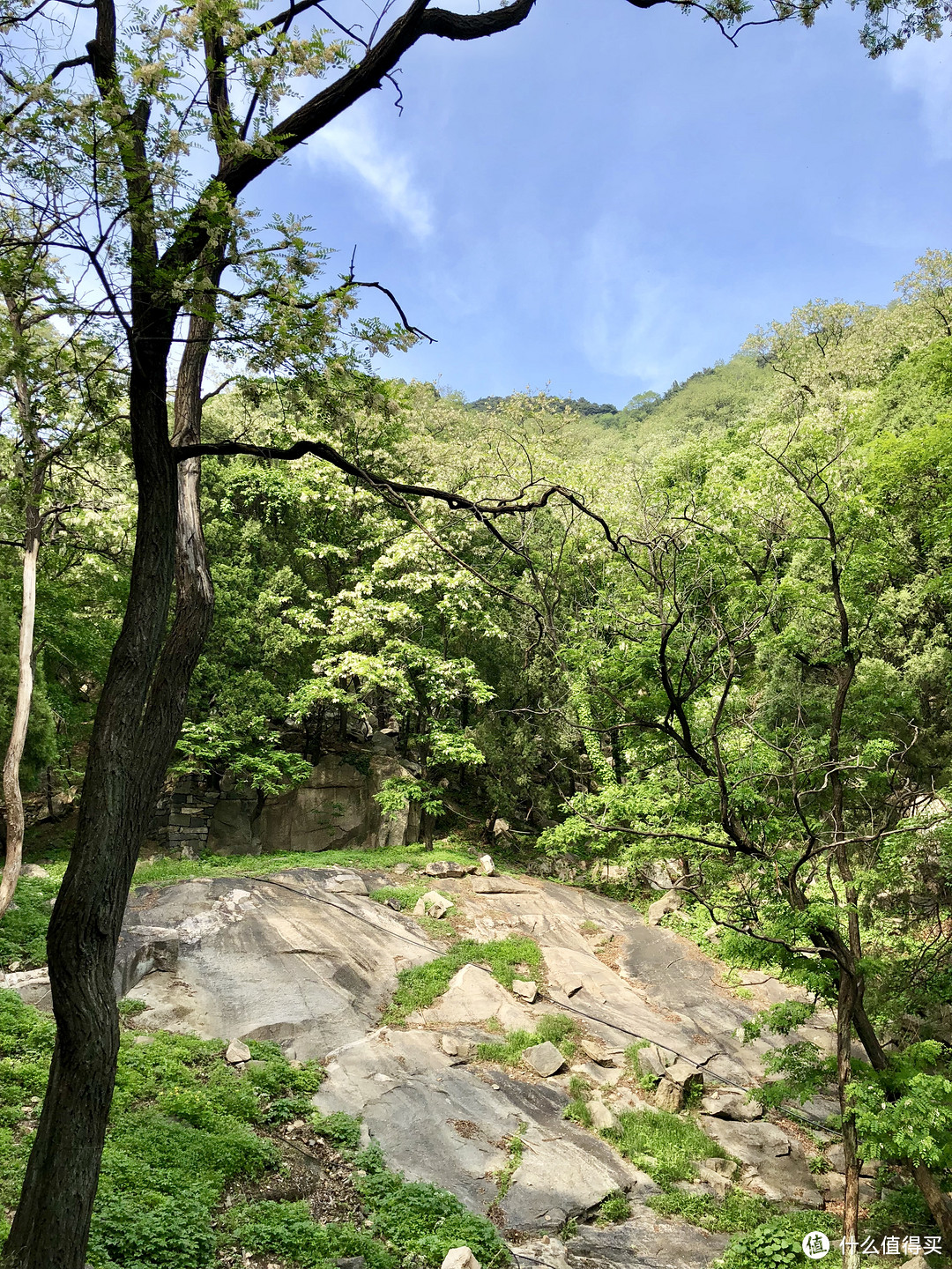 五岳独尊初领略—泰山值得玩游记