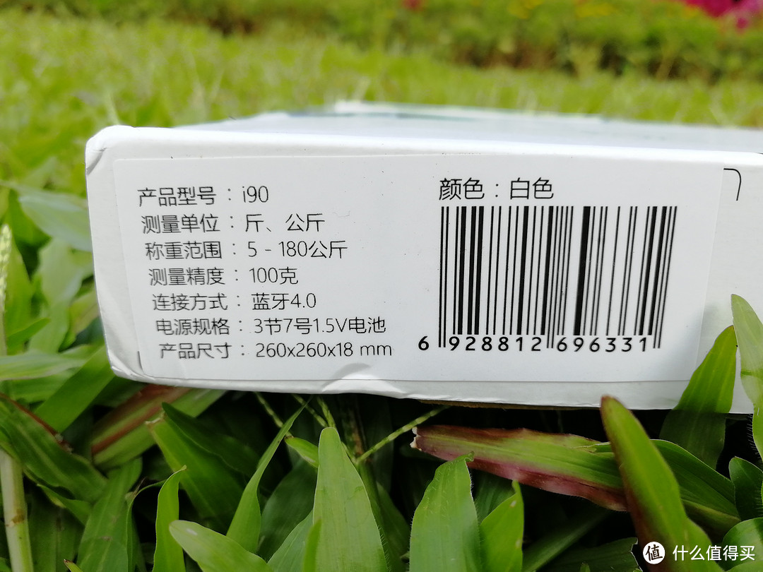 夏日何必空调、WiFi、西瓜?——ICOMON沃莱i90蓝牙智能体脂秤评测