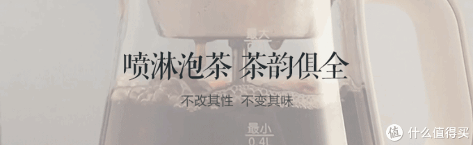 BEAR 小熊 养生壶究竟中不中用?看完这篇就知道