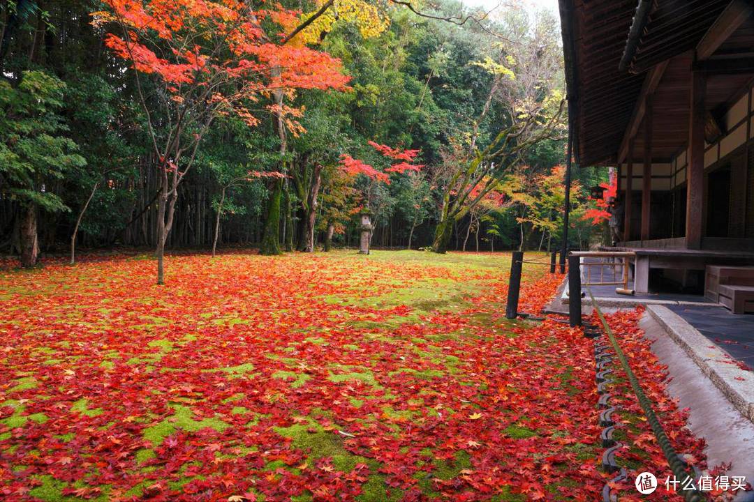 ▲ 大德寺高桐院