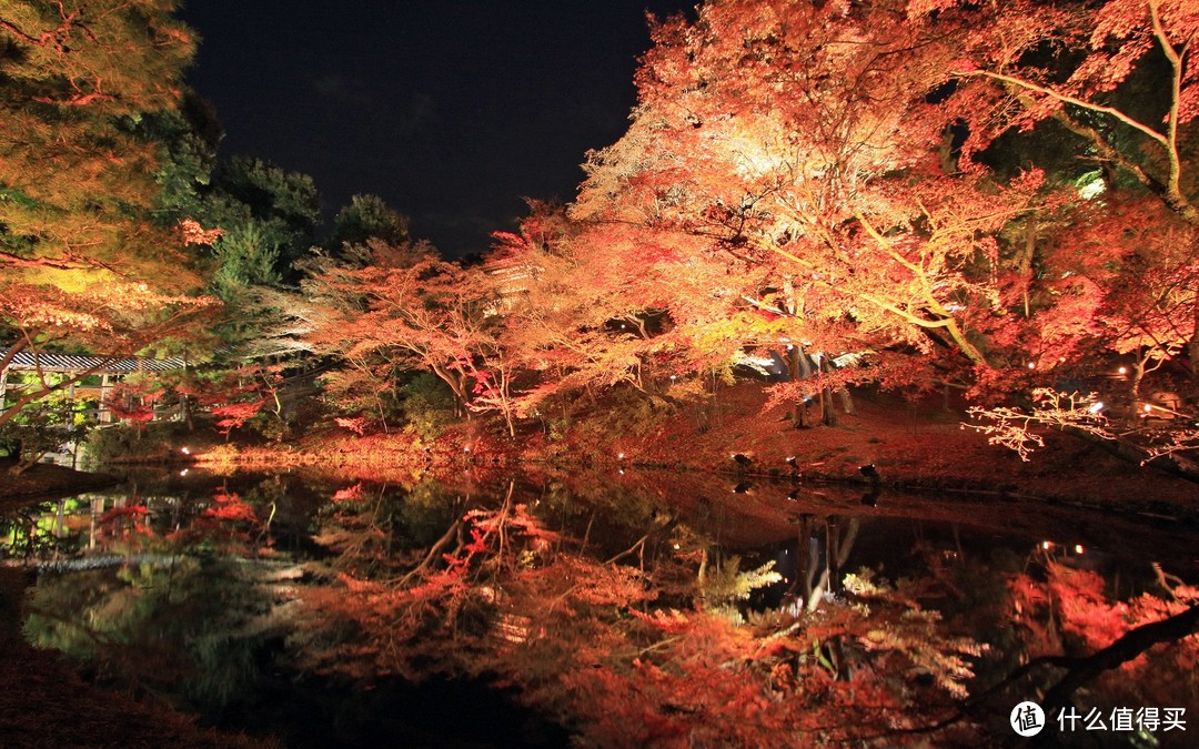 ▲ 高台寺