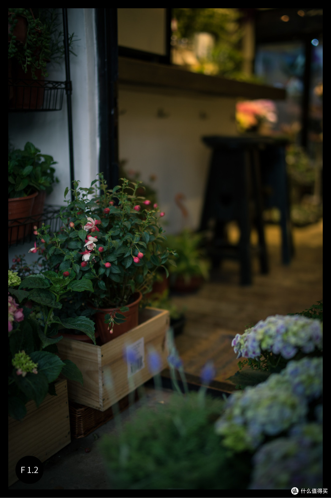 用自问自答的方式来聊聊这枚Voigtländer 40mm F1.2 Aspherical