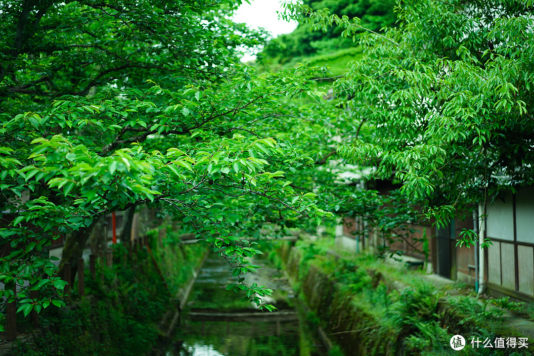 城崎温泉的一日游