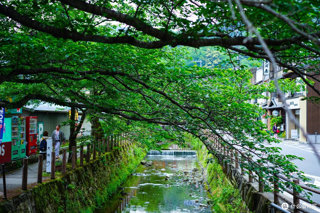 城崎温泉的一日游