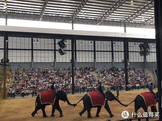 萨瓦迪卡，泰国—每个人心中不一样的妖娆之地！泰国完整攻略了解一下？