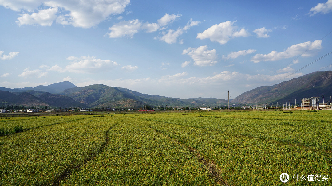 广阔的田野