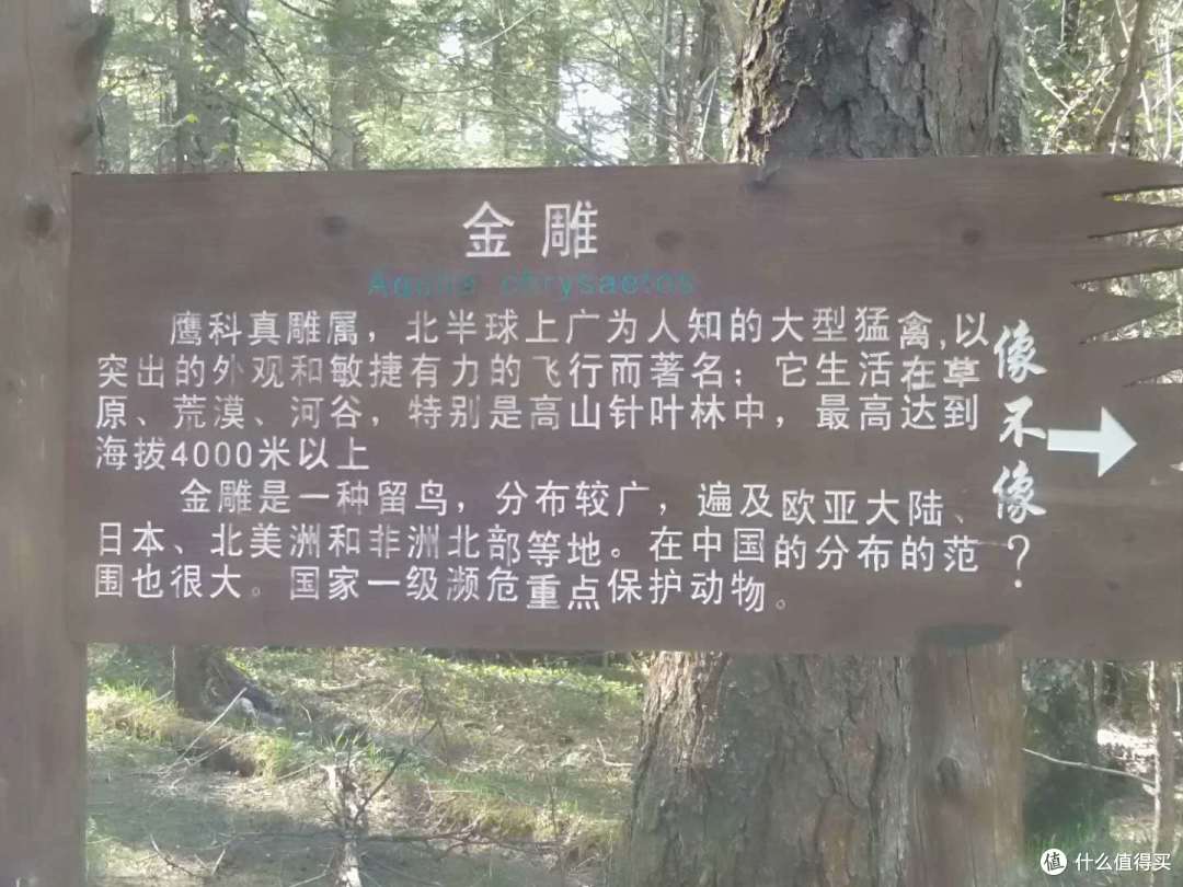 长白山北景区一日游—心旷神怡的洗肺之旅