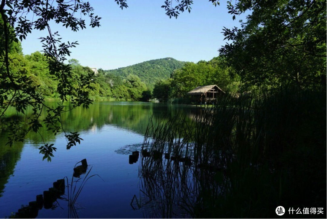 明知西湖人山人海，还“拿命”打卡游客—抱歉，我不建议你来杭州旅游！