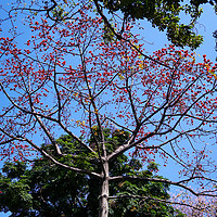 适马 19mm f2.8 镜头使用总结(锐度|光圈|手感|对焦)