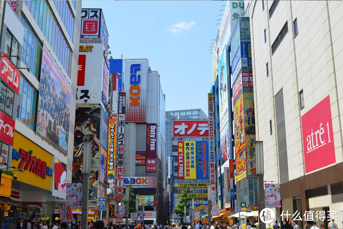 日本拈花惹草12天