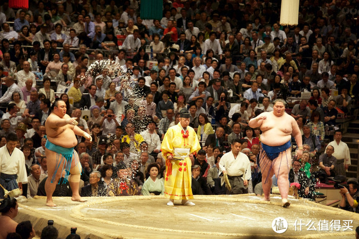 日本拈花惹草12天