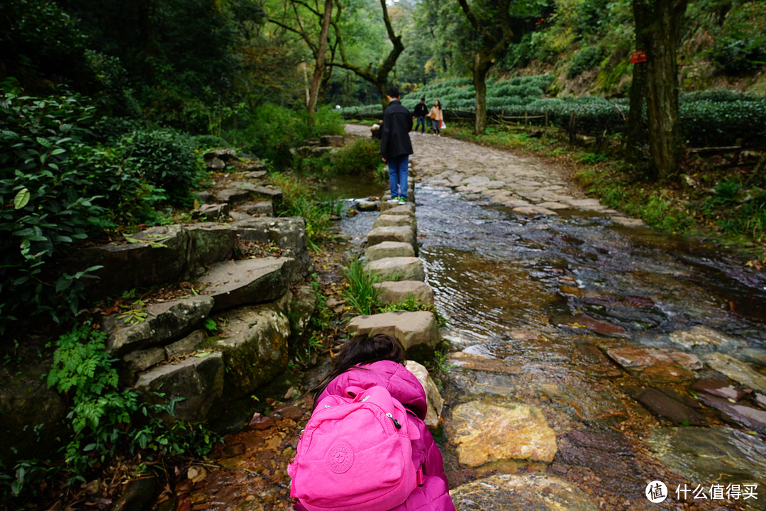 杭州去了N次，今天我们住民宿—九溪十八涧内热土庄园