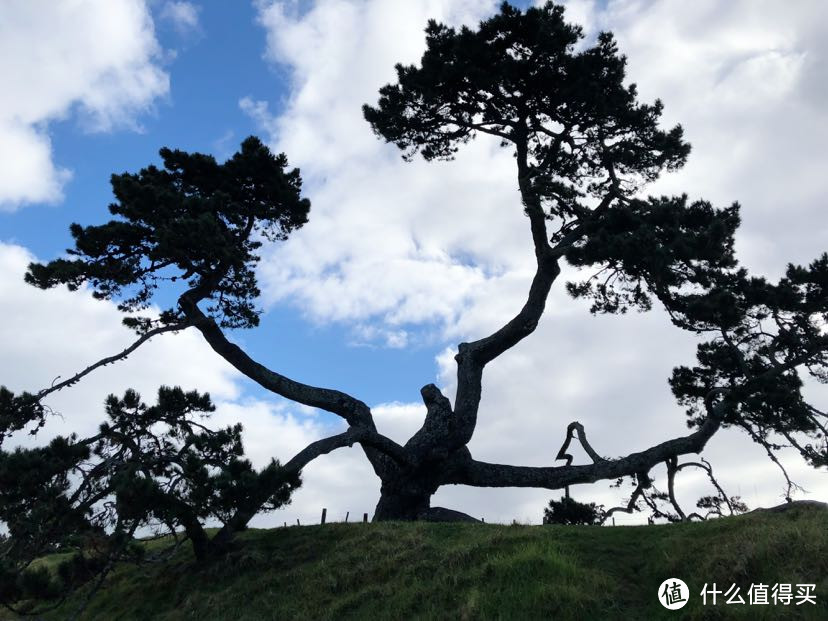 再也无法遇见一个这么美的国家—新西兰