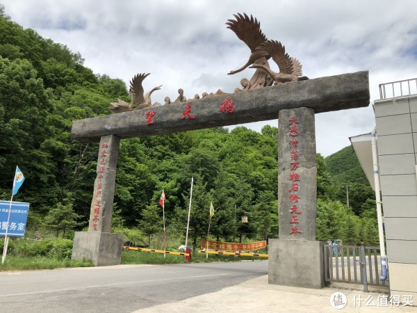 望天鹅景区