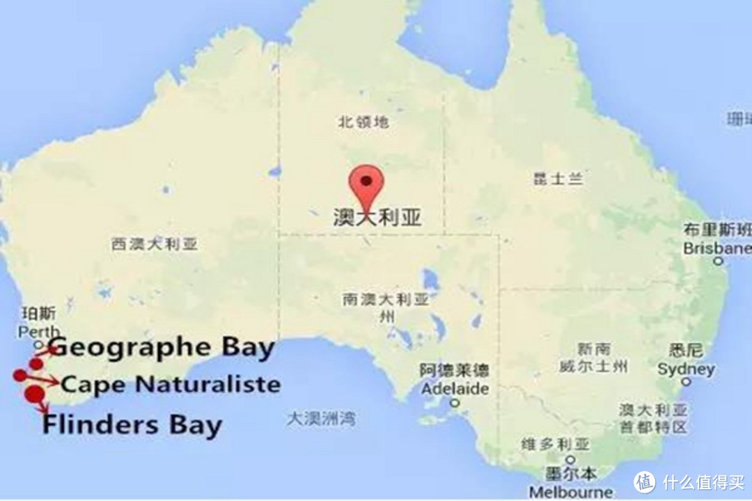 观鲸季来了?去澳洲观鲸最实用的观鲸指南！