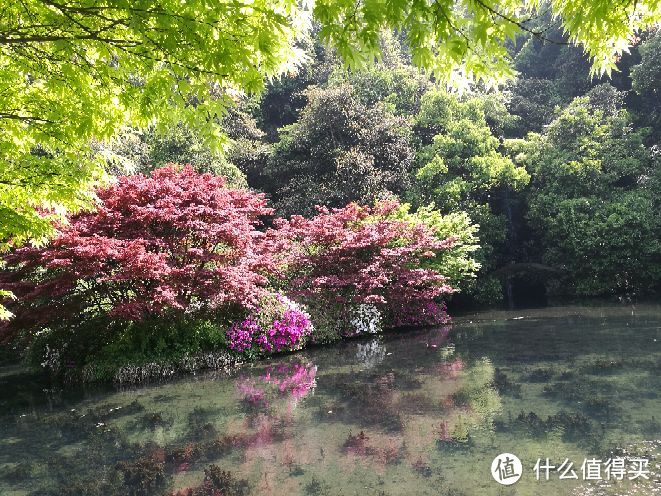 一场晚春的江南行—苏杭游记