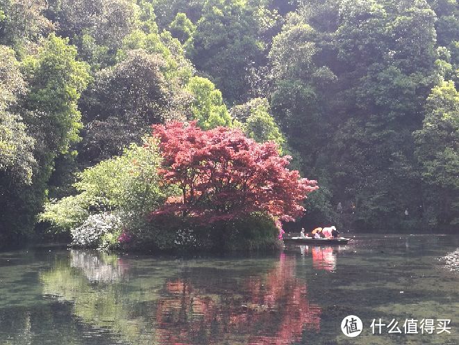 一场晚春的江南行—苏杭游记