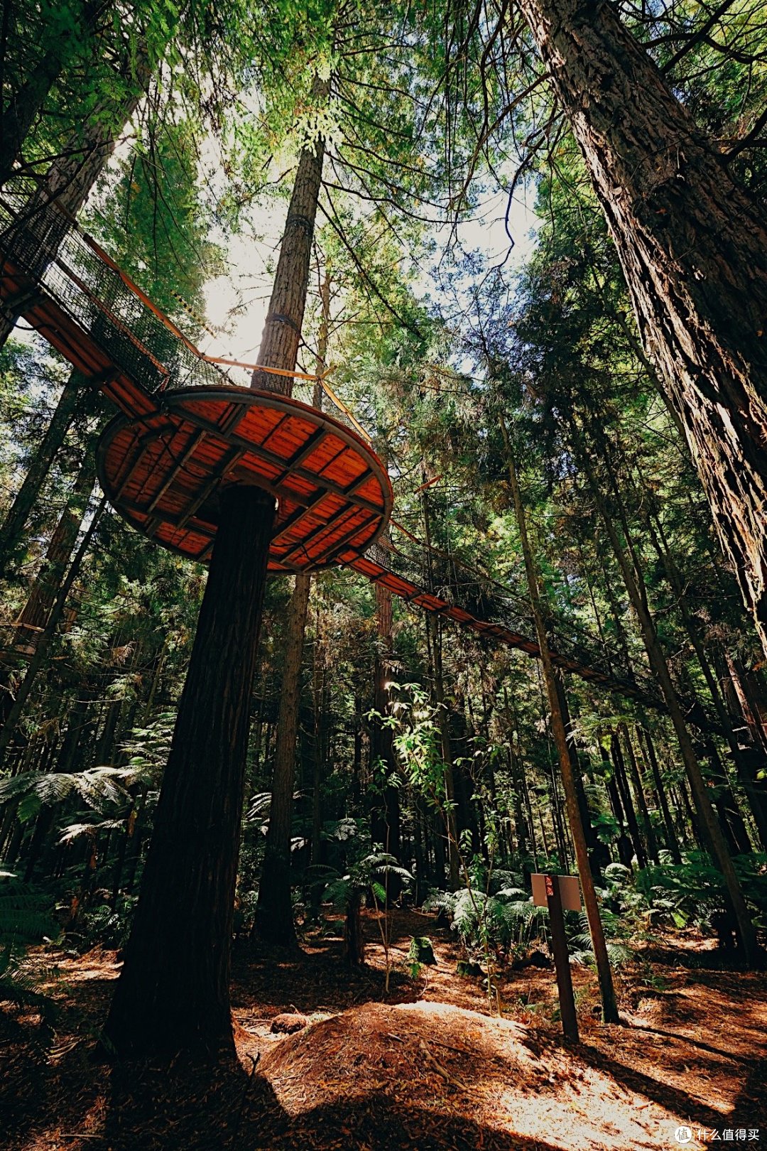 从罗托鲁阿到陶波