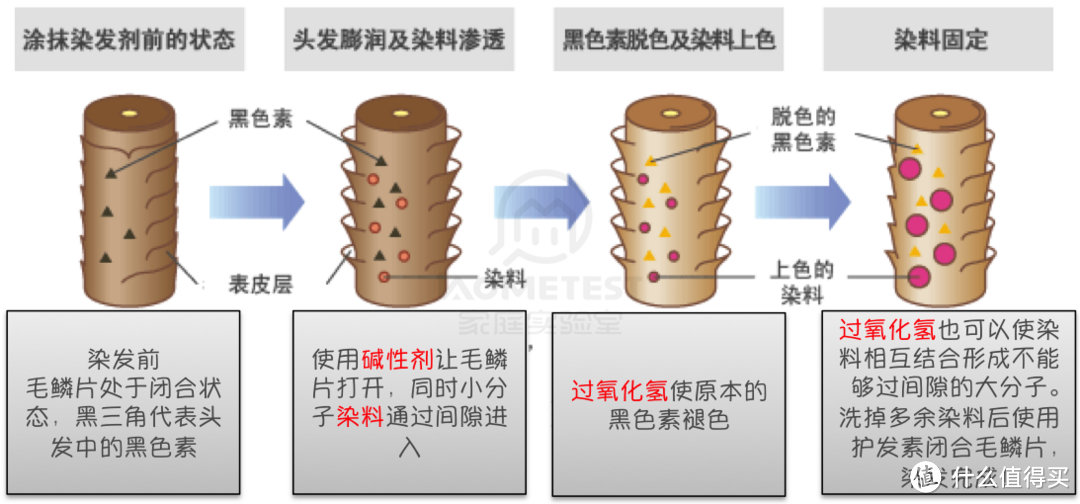 永久型染发剂工作原理