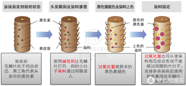 永久型染发剂工作原理