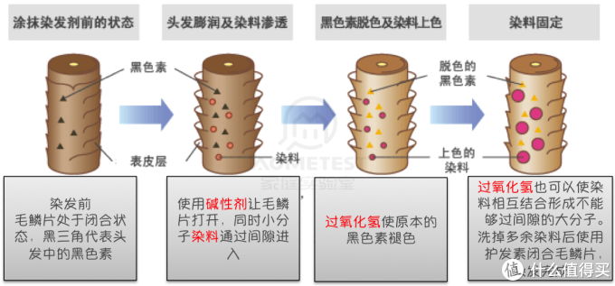 永久型染发剂工作原理