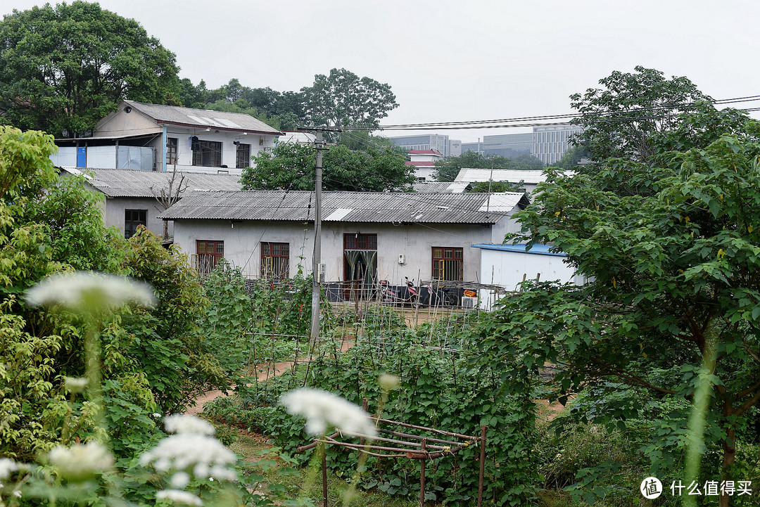 长沙这家爆“土”的家菜馆，坐得菜园子里呷，菜还要“抢”！