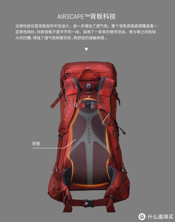 ▲图片来自官方网站。