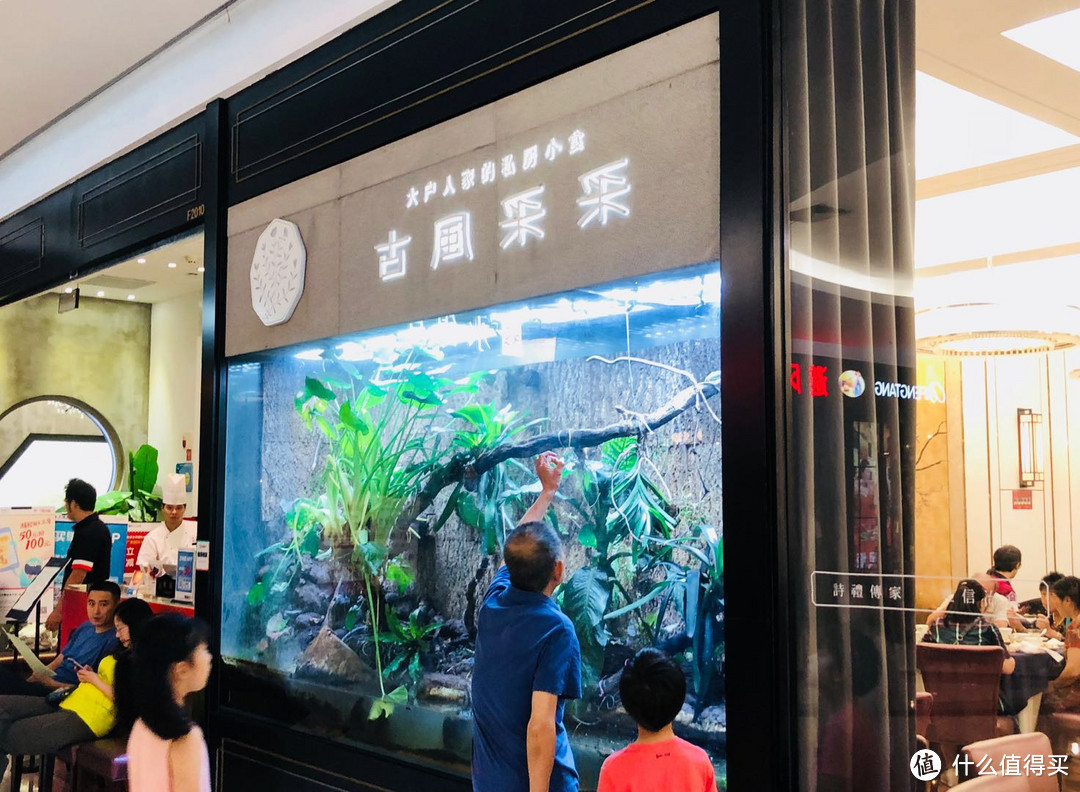 大户人家的私房小食—宁波古风采采小探:主食依旧强势,主菜还需加强