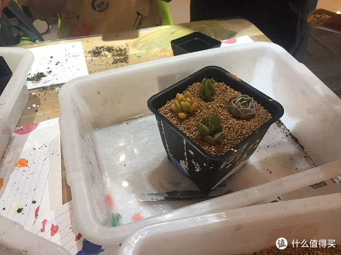 手工、烘焙短暂珍贵时光之父亲节、端午节