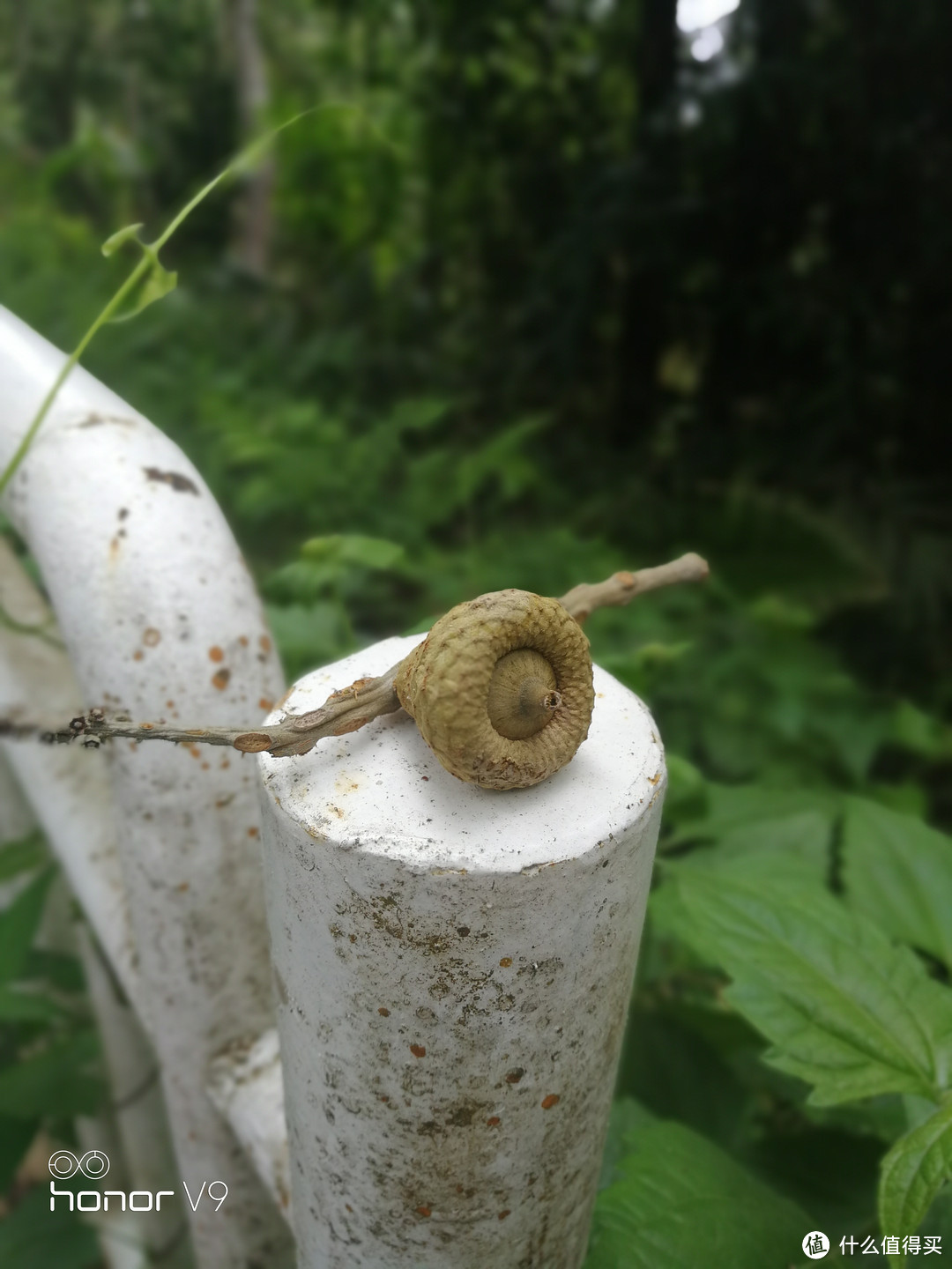 跟着土生土长的槟城人体验槟城—游玩篇