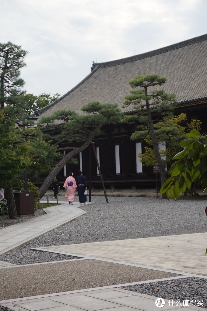 日本关西八日干货贴（交通细节、行程疲劳度、景点趣味度供参考）