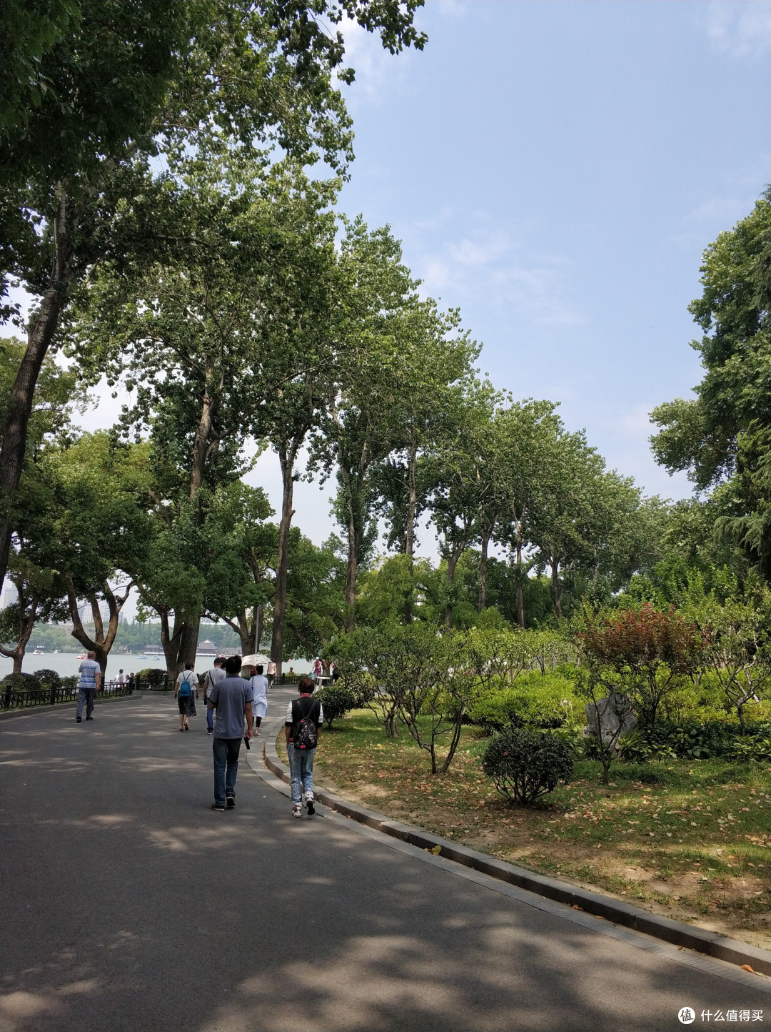 玄武湖景色
