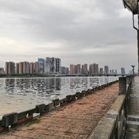美津浓 WAVE ENIGMA 6 男士跑鞋使用总结(优点|缺点)