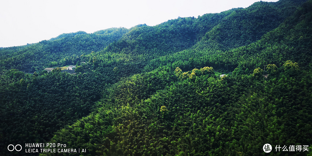 我曾经跨过山和竹海，遇见《卧虎藏龙》