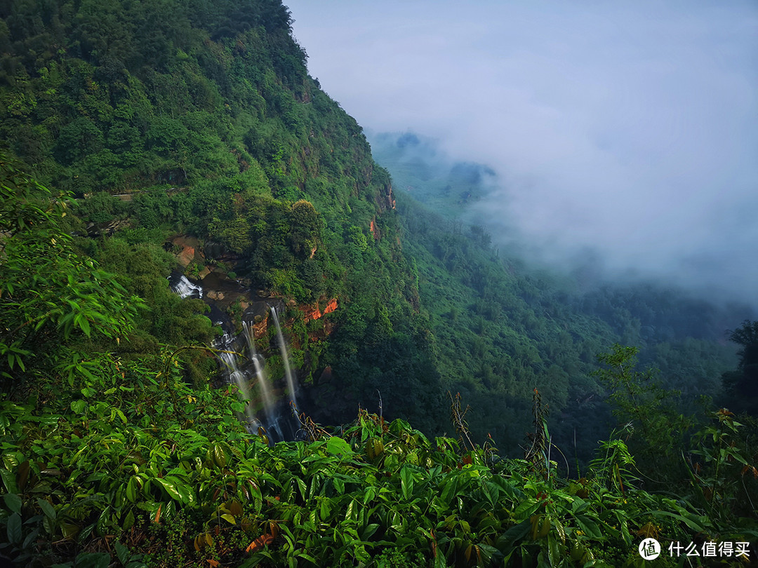 我曾经跨过山和竹海，遇见《卧虎藏龙》