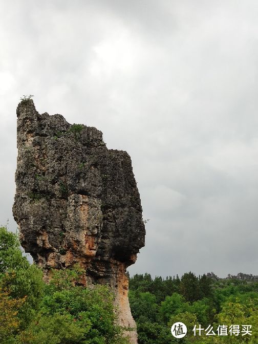 这是真假包拯