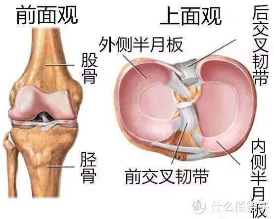 善待你的脂肪—大体重者减肥二十年“心路历程”