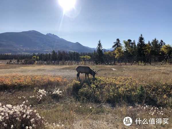 行走秋日湖光山色之中—带上潮妈加西自驾游