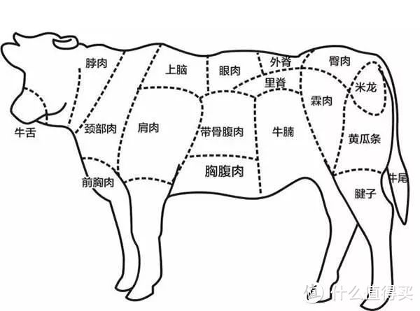 牛肉怎么做才嫩？这3个技巧亲测有效