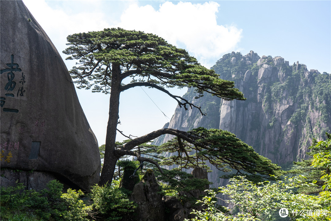 住古村，登黄山，品古韵—有一种文化叫徽州（下篇）