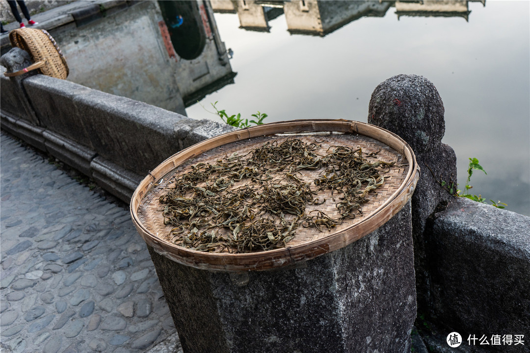 住古村，登黄山，品古韵—有一种文化叫徽州（下篇）