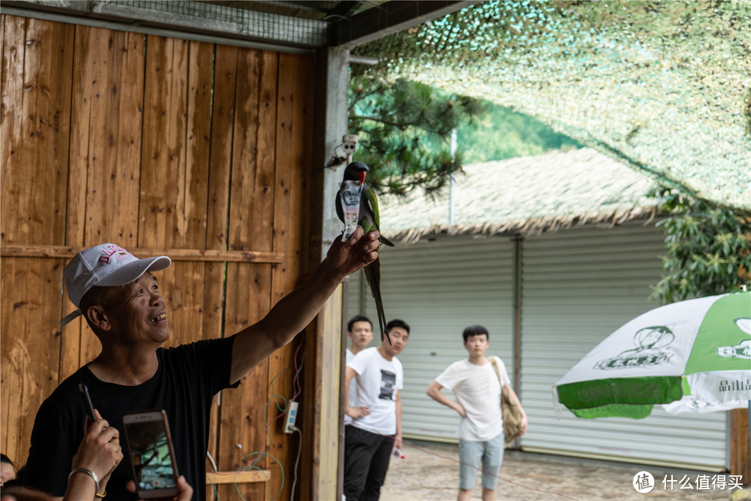 住古村，登黄山，品古韵—有一种文化叫徽州（下篇）