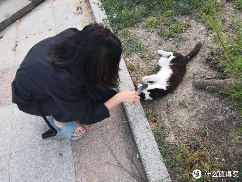 二十天俄罗斯蜜月旅行之神秘的克里米亚雅尔塔