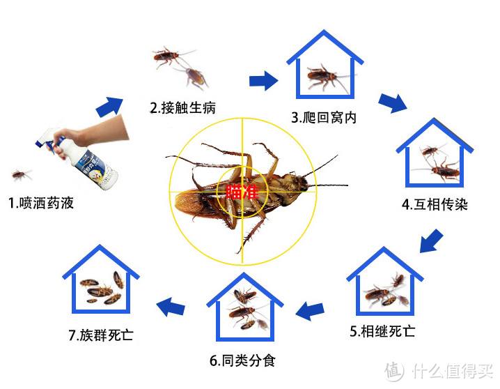 灭蟑折腾记：科凌虫控 蟑螂屋 / 达豪 杀蟑饵剂