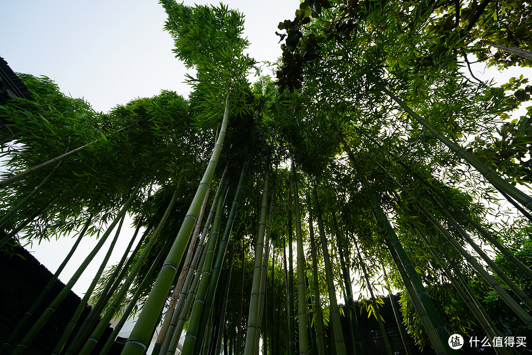 烟花四月下扬州：扬州、上海、苏州十二日自由行游记