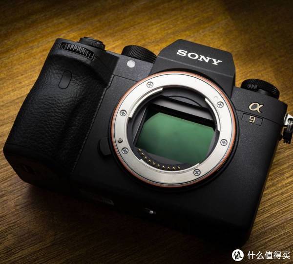 SONY 索尼 A9 旗舰机身测评