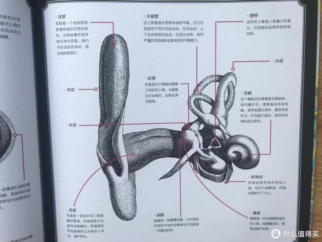 毛爸聊玩具：上周大号开团的7套绘本点评（有2套非常值得买） | 团购纪检委