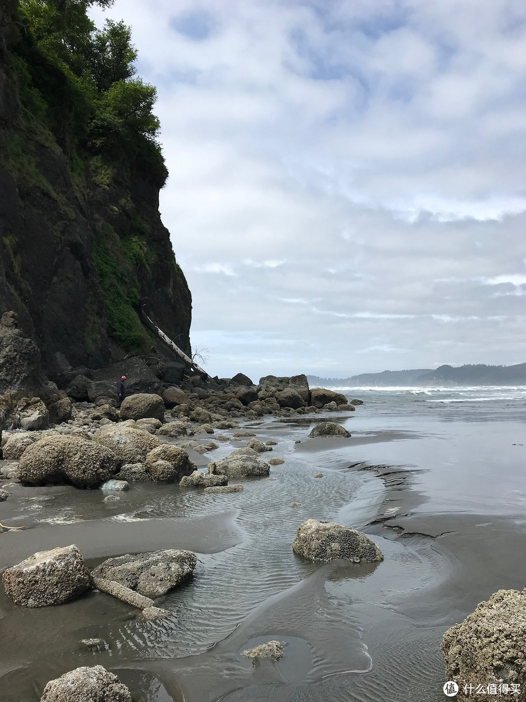 就是在这里找到海洋生物