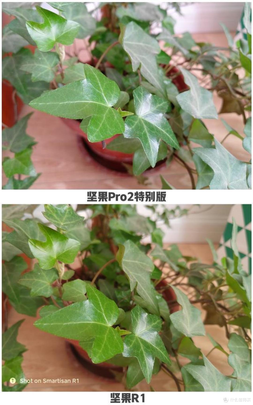 坚果Pro2特别版，可能是体验坚果手机的最优选择